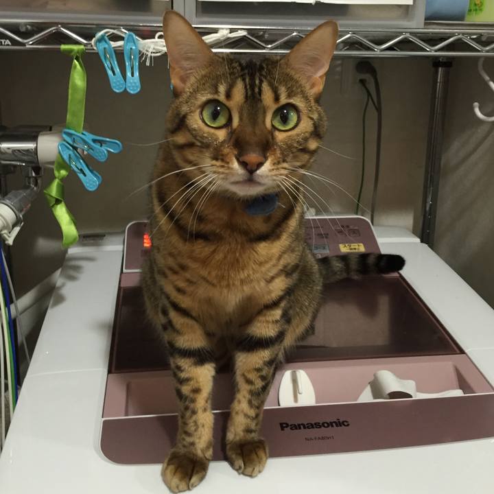 689856f2 d010 42e2 b549 e9a487c2a4bb