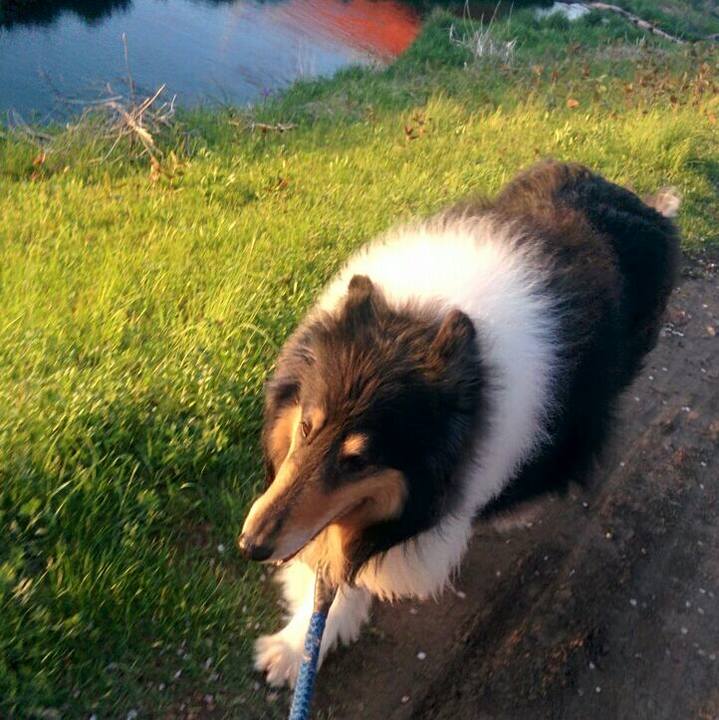 68986ab9 e6ca 4d68 8a07 f25ececa1b14