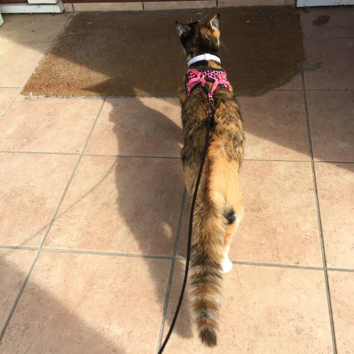 6898cd34 6977 4ead bfe5 955abe65768d