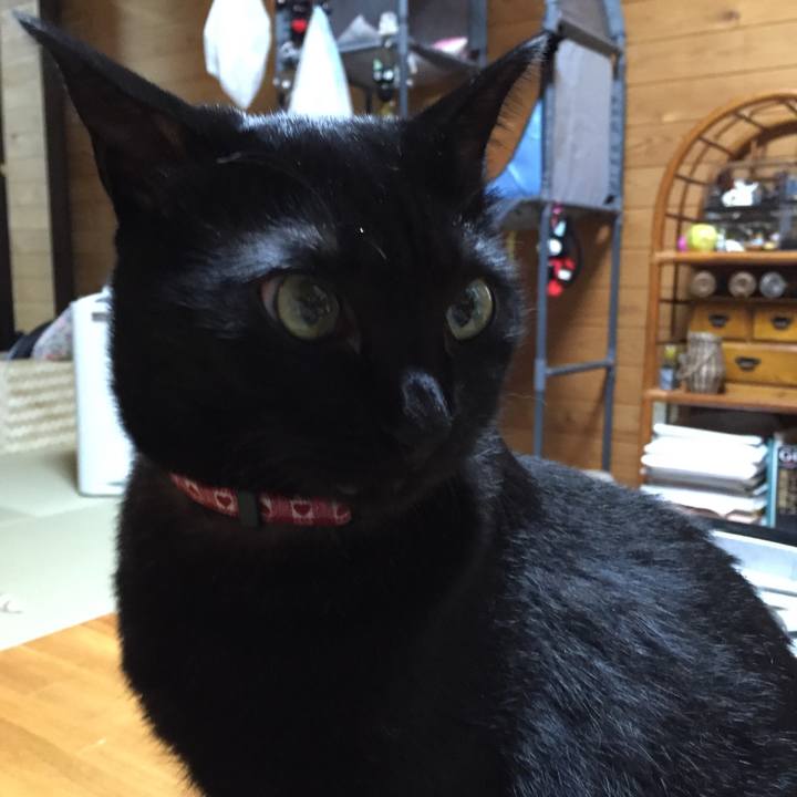 6898eeb6 35be 41f9 8776 48ca8e03e7d8