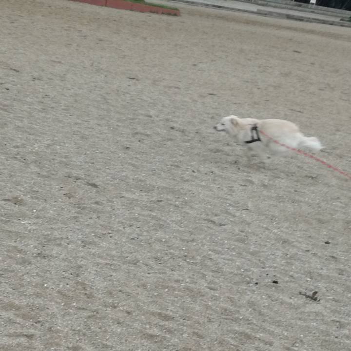 6898f3ee f134 4dee b980 9afda1675800