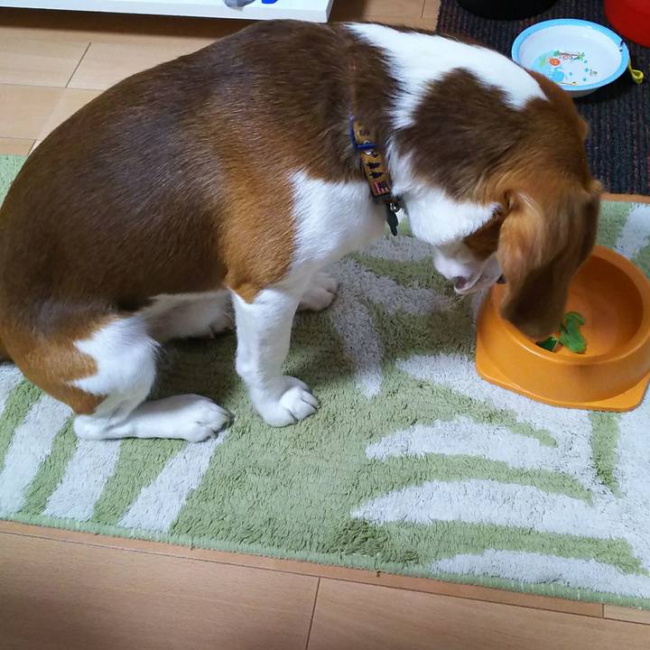 68993417 0c63 4591 b4d0 32f8342eb5c4