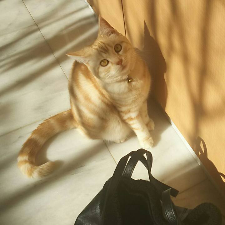 68996059 634a 449d b4c0 f050eb4e231c