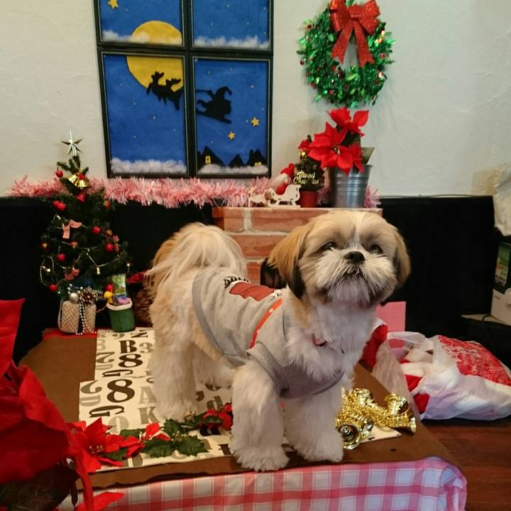 68998f3a a903 498e b657 862a07ee9150