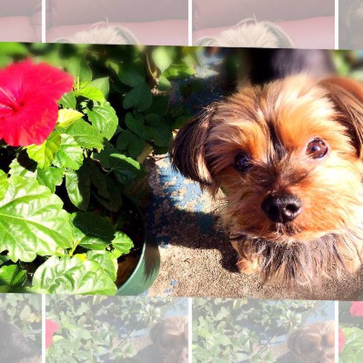 6899ae75 9292 4694 b0df f615736cd3d4