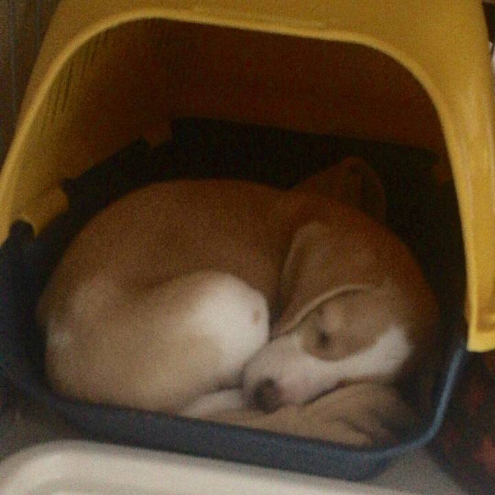 689a1538 d293 4024 8695 7d2bb3ebae5b