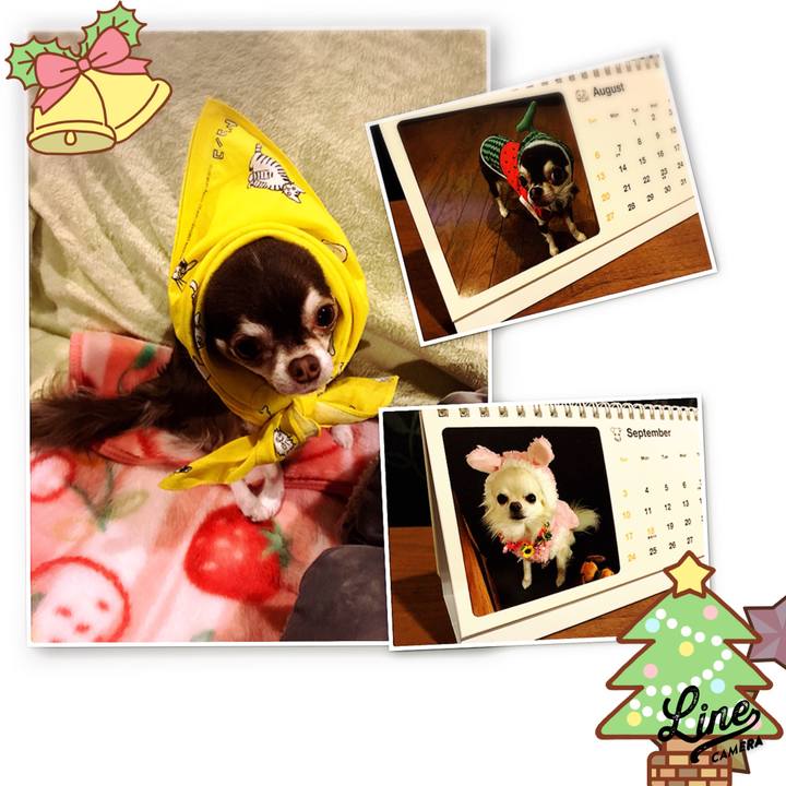 689a90aa 0d95 46a8 9ccb aa438dfc7a03