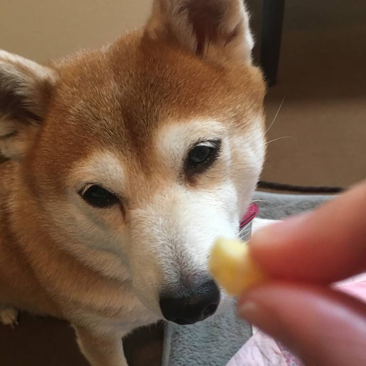 689af00c 0974 4cf2 afa5 1eccedc21a66