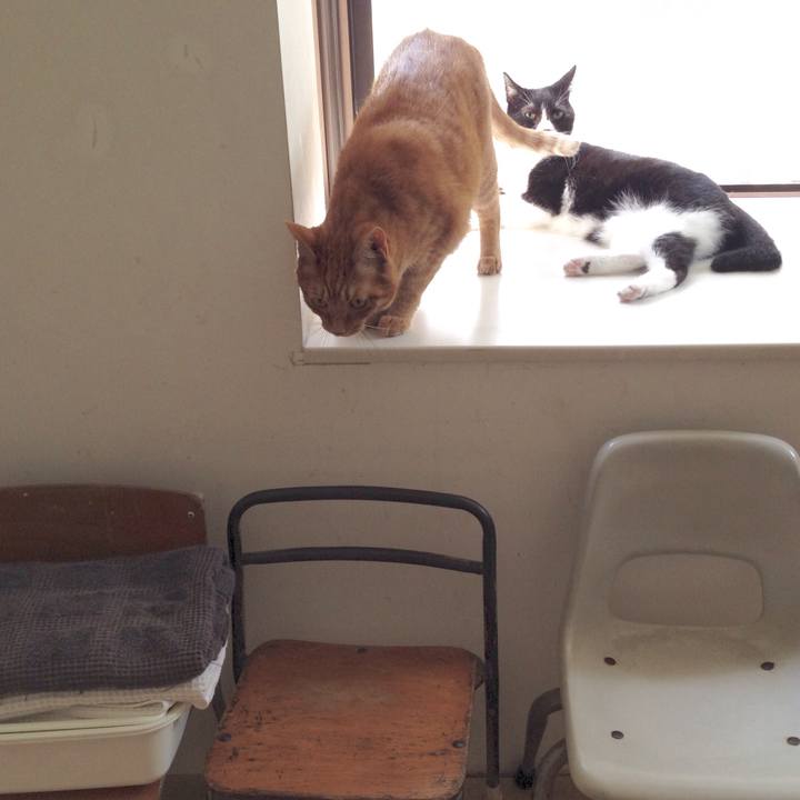 689c3d25 586c 46e2 9fb9 cceba8b8a3d3