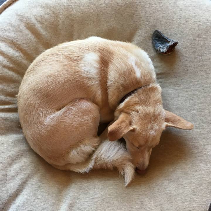 689cad61 aed9 446d a139 0d323ef0746f