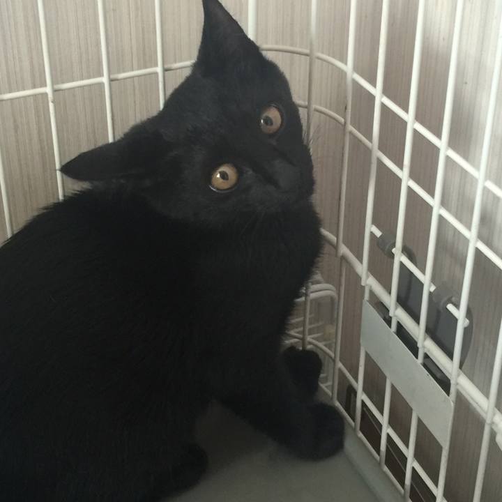 689cc797 fbe8 4834 9e23 d230a908d04c