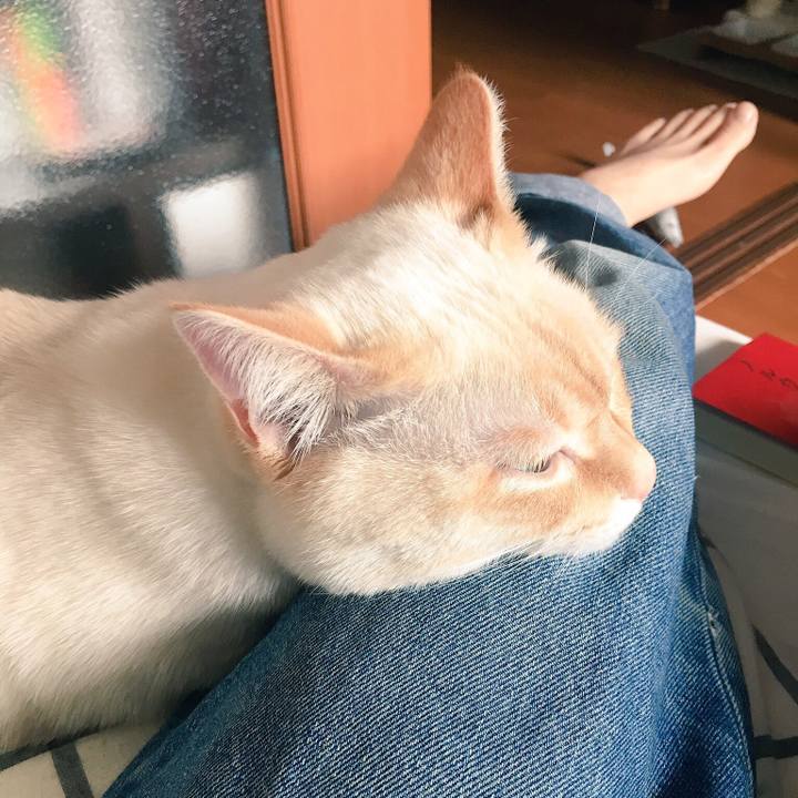 689cd15c 7c33 4b5c 9afc 6bfabf357828