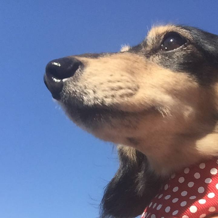 689d18b1 0caf 41be b018 4219761e9581