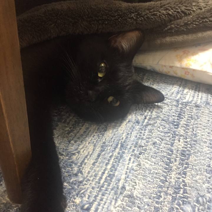 689d2a78 784a 4422 9434 3ddbbfc2a7ba