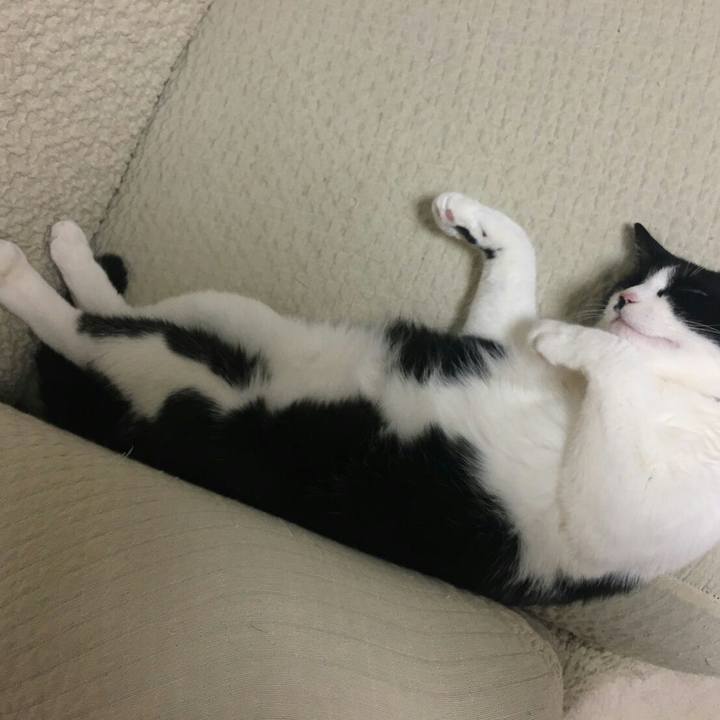 689d3411 c980 4532 9f21 a6898036e91d