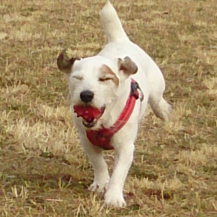 689d7a07 54f8 4362 9d45 15d177fcd66e