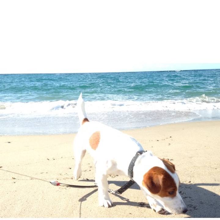 689e3e78 f36d 420a 8bc5 338b2db931fa