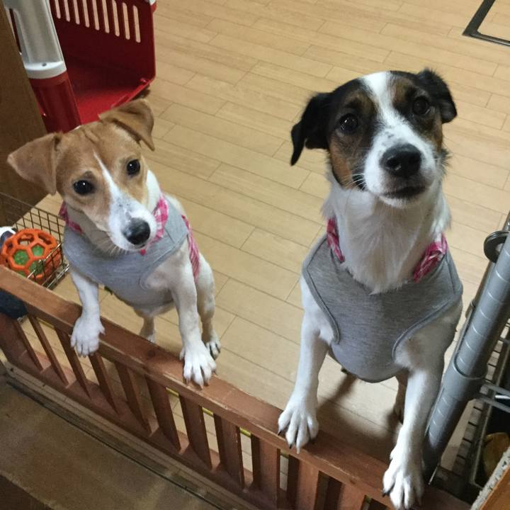 689e7949 d90c 41a3 9926 a21248bcf7af