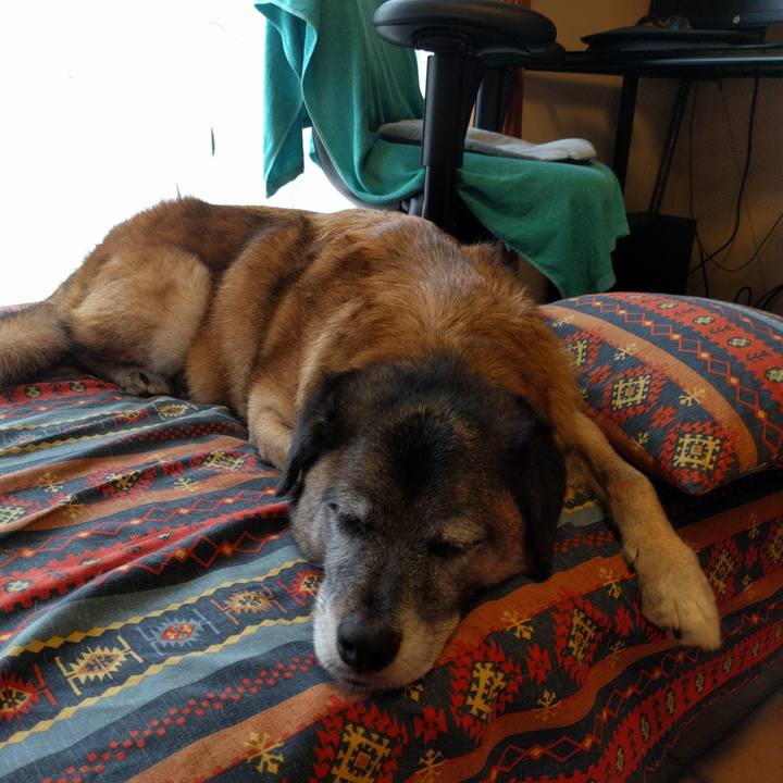 689f3910 7d74 4ff6 839f e3a81afab0cc