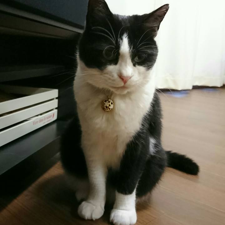 689f63e7 717a 4332 b749 4e0e1a168bc5