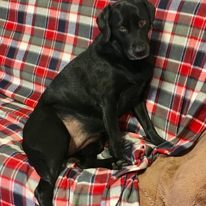 689f7890 8362 4008 8599 6b83eb14af18