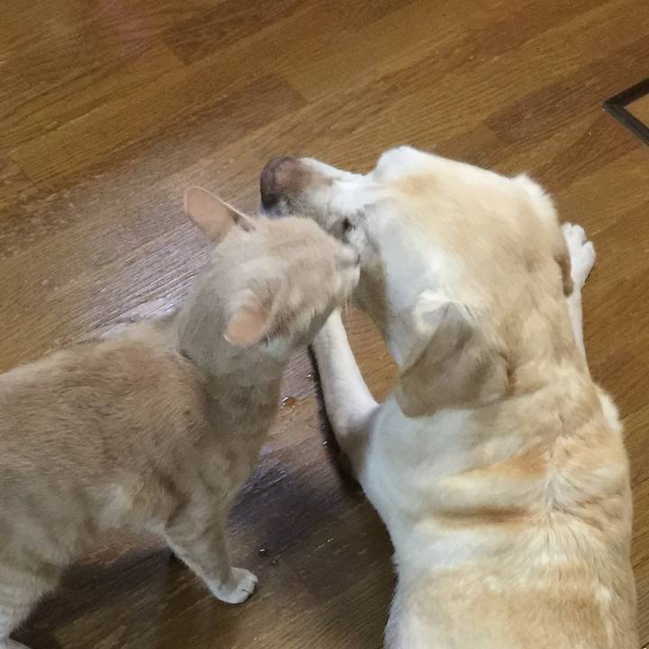 689f8b8e 4f89 4fc2 9b2b 8f98a3b25af2