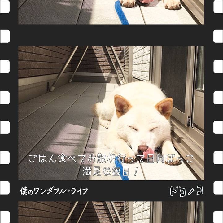 689faef8 3095 4b1d ab8d d9e47b93388d