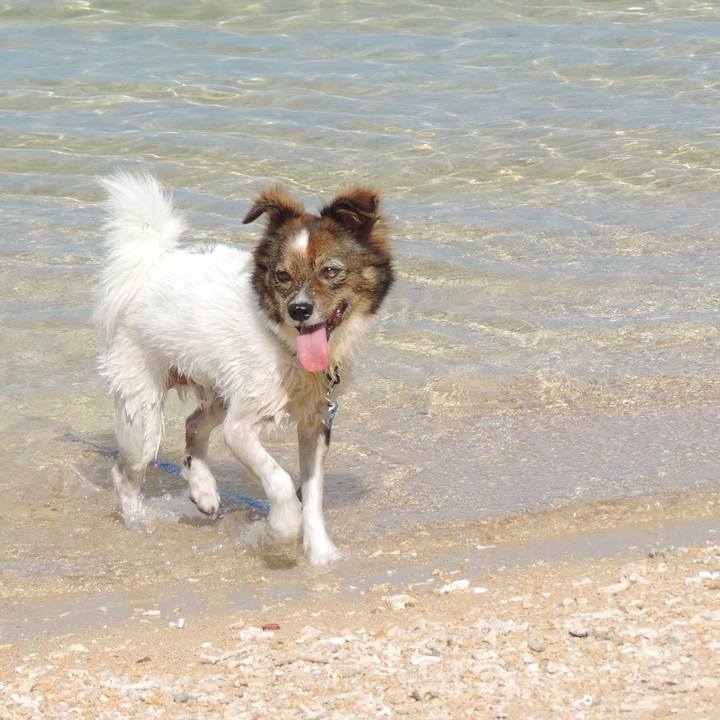 68a00988 004d 4eb0 b3f5 417ed9633331