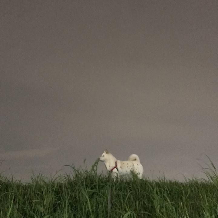 68a0cceb 99ed 42bf 848d 64c578d41e0f