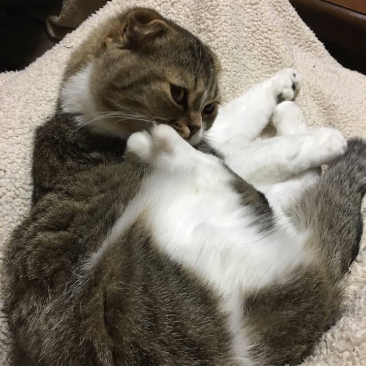 68a0d03b ba6c 4a0b 9781 882c3f932864