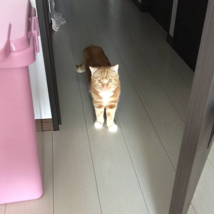 68a13c4a 6a1f 435e b3f1 0ecd18f24c00