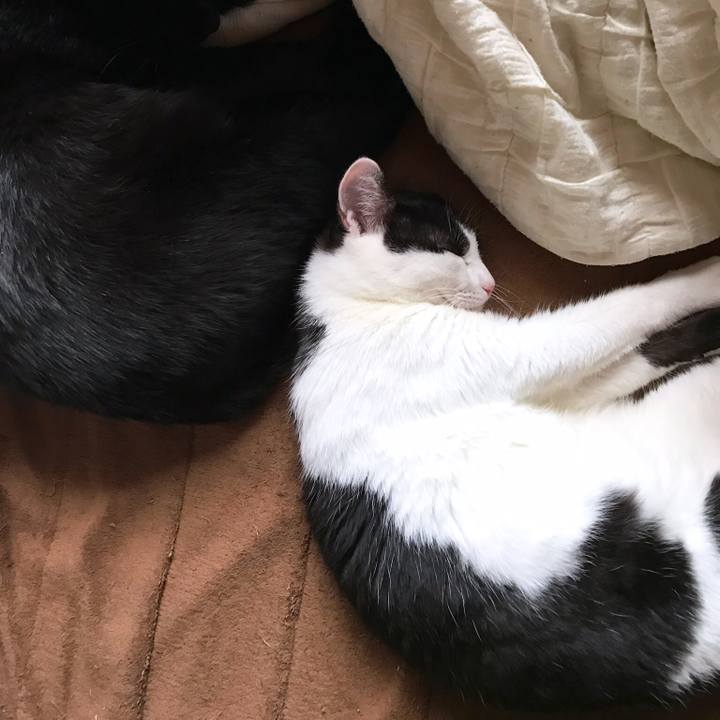 68a1ea63 9c24 4683 b9ca b9515d2d1240