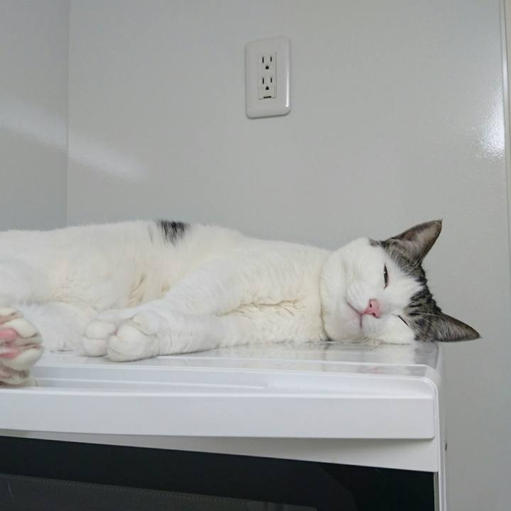 68a20e8e bcfb 4b65 a895 13d2147a028c