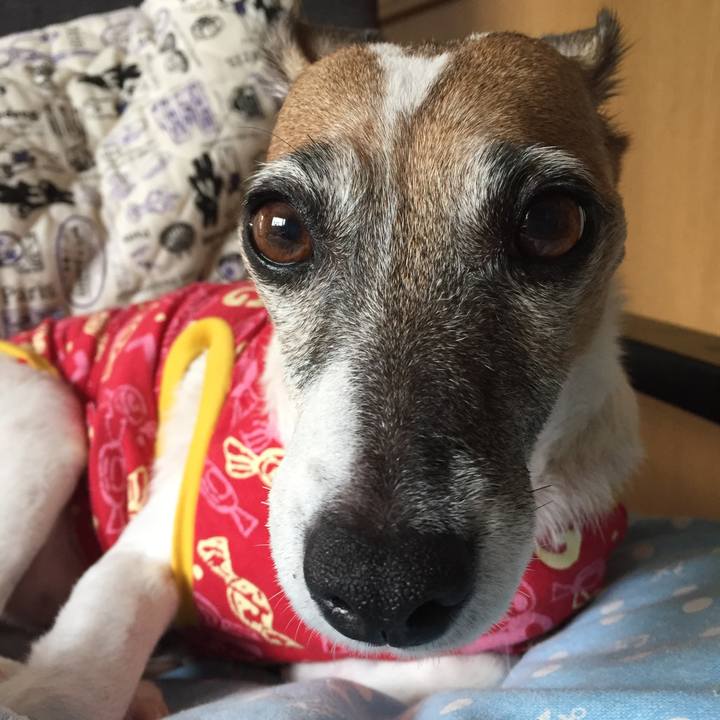 68a25618 a5a4 475d 964b 460473a314de