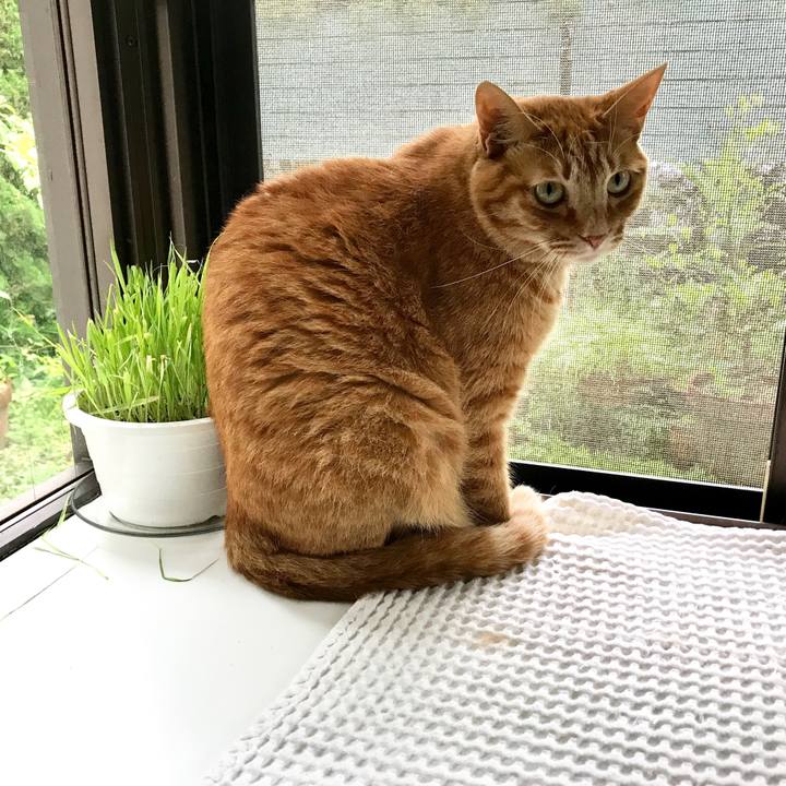 68a2744d 2b1f 4002 960c 1b4941ee5000