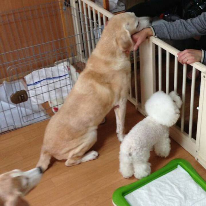 68a29ae4 8595 43bb a4b7 126fdf9fdae4