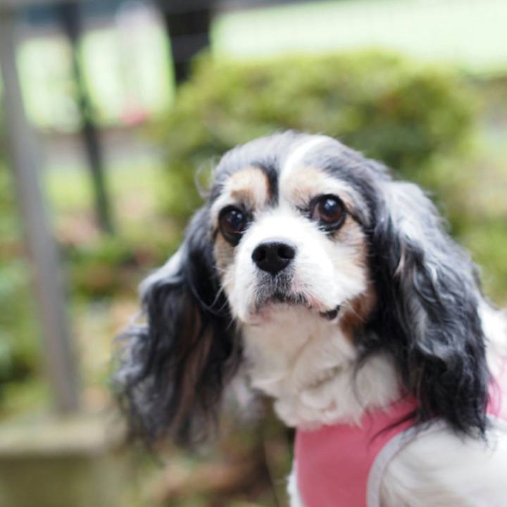 68a30303 0751 428a bc35 90a846139ba6