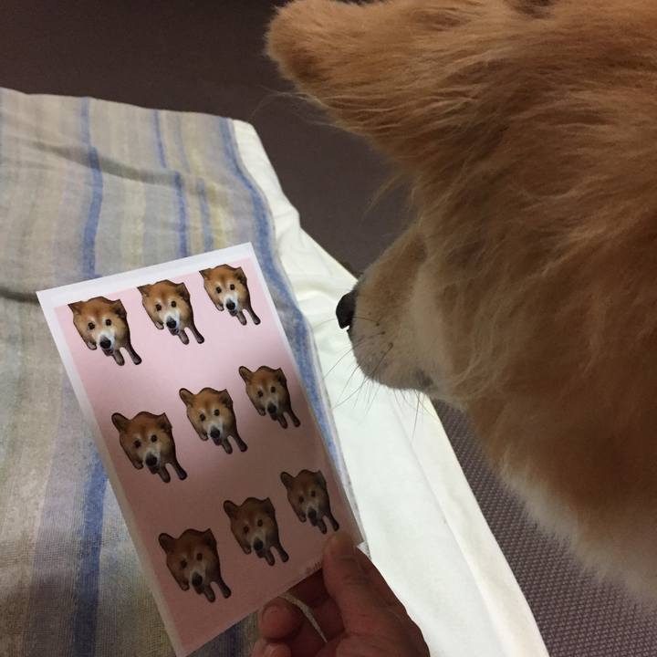 68a3084e b079 4b97 8dd8 bf5519c79c9f