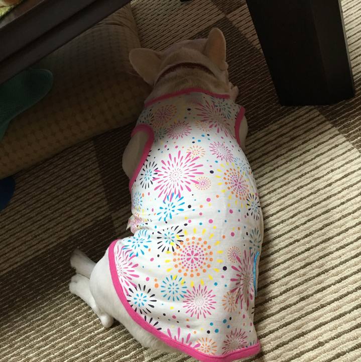 68a38e25 ce87 4799 a0bf df47388905c6