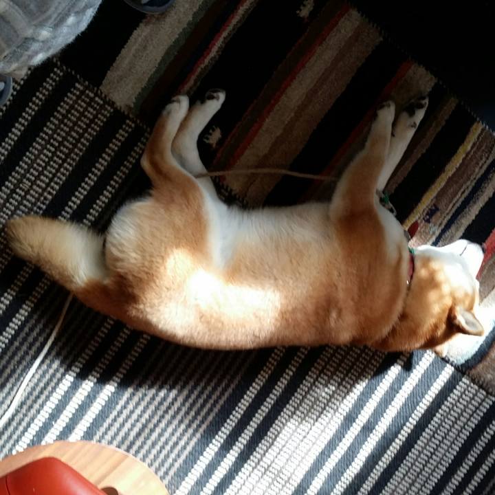 68a402ba 4a50 4b4b a07e 8514aae72ca4