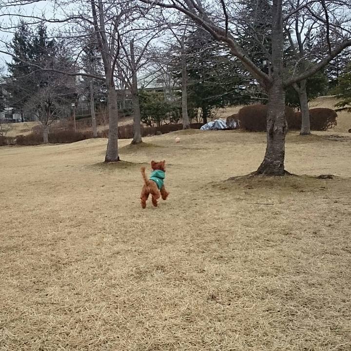 68a40d30 27f5 4b15 860b 268f98d36ab1