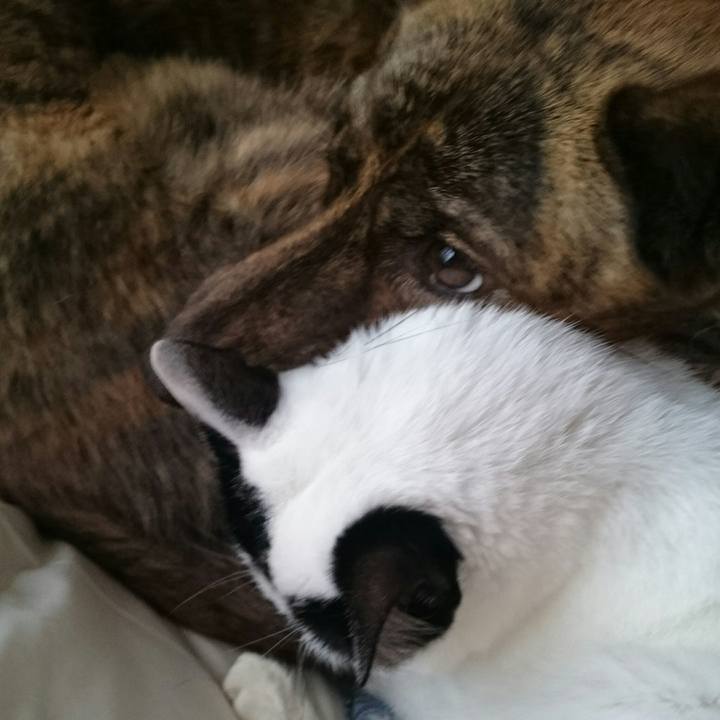 68a48255 041e 4902 84a2 2c9f0323e29c