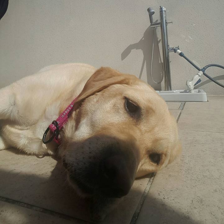 68a4efd1 05a6 401a a0ed cf27e20e531b