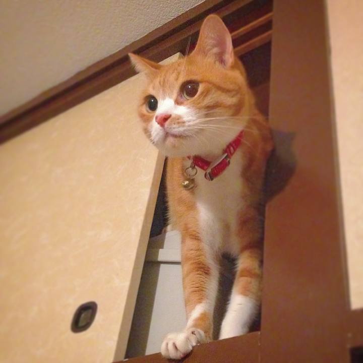 68a615c9 11d9 4015 bcdf 1eff6027239e