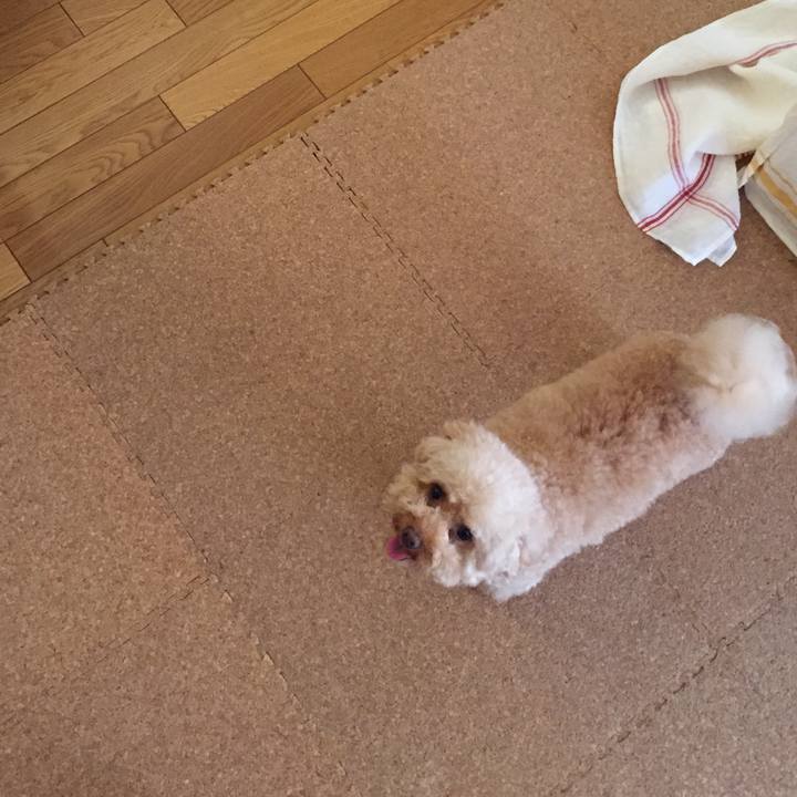 68a6433a a57d 407e a226 2a2492c4e277