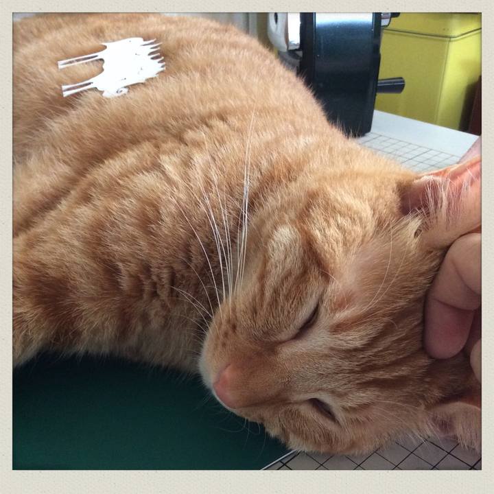 68a683df db82 4497 ae47 365703ca5122