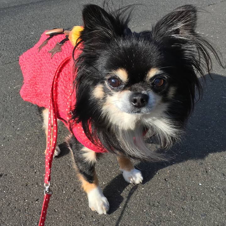 68a6c30b e449 450b a7b3 eaefbe5594f3