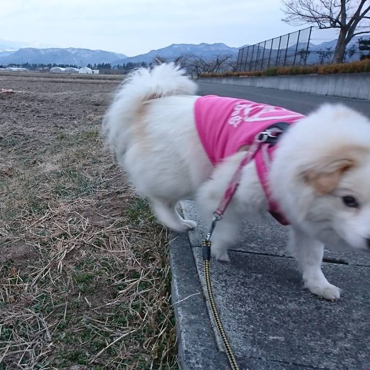 68a6f89e a8ff 429a 9382 875d42b856fb