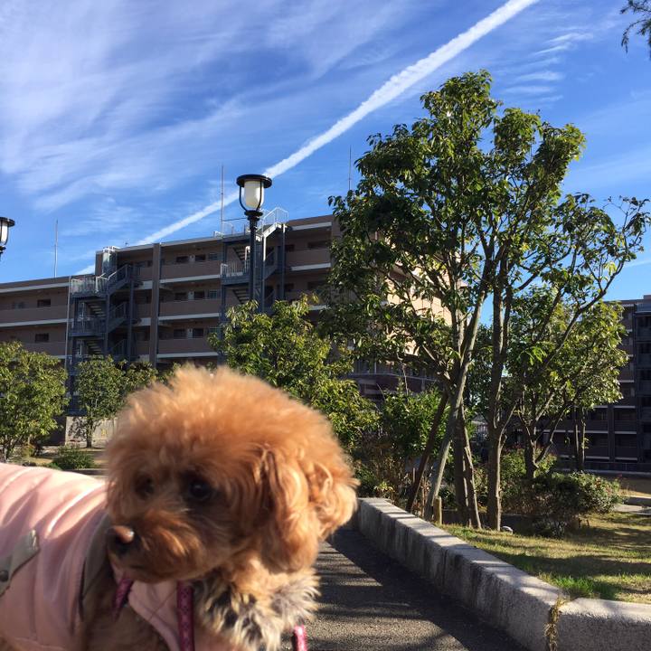 68a749ea 3fb2 49c7 a2ca 082bad79be34