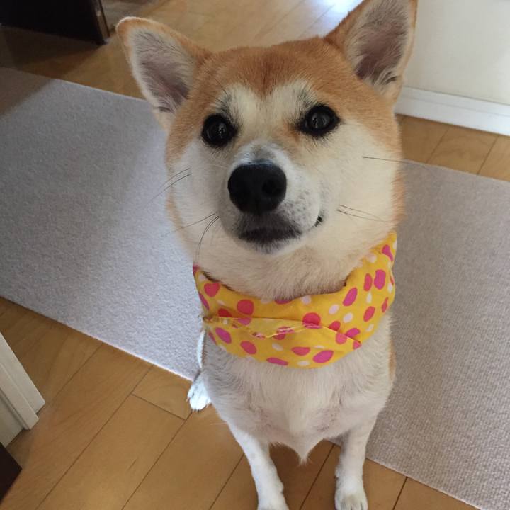 68a7abc8 d83e 4c33 b0f4 c49aac6c2857